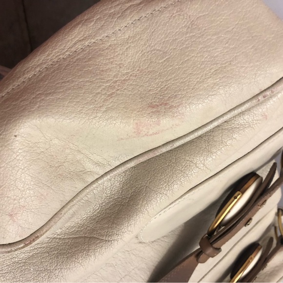 Chloe - Picture 9 of 10